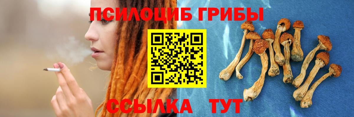 Псилоцибиновые грибы Magic Shrooms  Вход с VPN  Новый Уренгой 