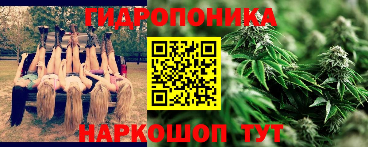 Бошки Шишки LSD WEED  Конопля Amnesia  Новый Уренгой  Вход с VPN  Канабис Amnesia  Каннабис тримм 
